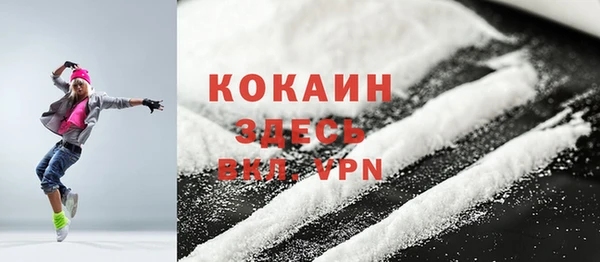 молекула духа Бородино