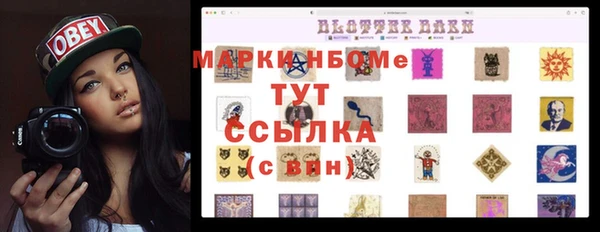 молекула духа Бородино