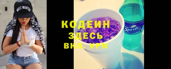 молекула духа Бородино