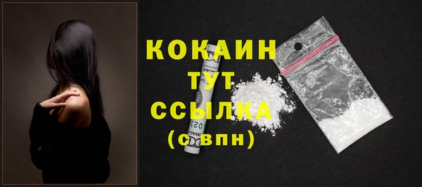 молекула духа Бородино