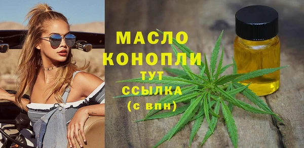 молекула духа Бородино
